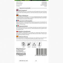 Mydlnica bazyliowata - 450 nasion