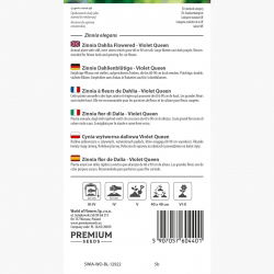 Cynia wytworna daliowa Violet Queen - 120 nasion