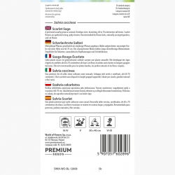 Szałwia szkarłatna - 210 nasion