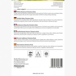 Burak ćwikłowy Śnieżna Kula - odmiana o białym korzeniu - 500 nasion