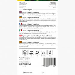 Cynia wytworna Liliput Purple Gem fioletowa