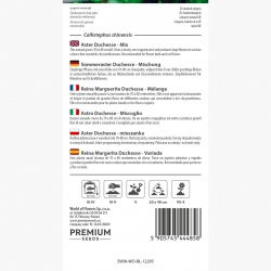 Aster Duchesse - mieszanka