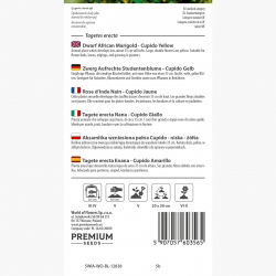 Aksamitka wzniesiona niska pełna Cupido - żółta