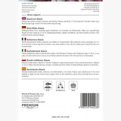 Burak ćwikłowy Alexis - cylindryczny, późny