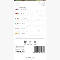 Ogórek Ela F1 - gruntowy, wczesny