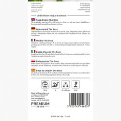 Lwia paszcza wysoka różowa The Rose - 4000 nasion