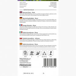 Szałwia powabna - różowa