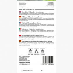 Roszponka warzywna d'Olanda a Seme Grosso