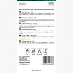 Ostrogowiec czerwony