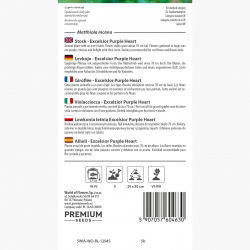 Lewkonia letnia Excelsior ciemnośliwkowa