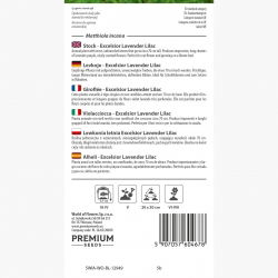 Lewkonia letnia Excelsior liloworóżowa