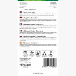 Krwawnik pospolity - ciemnoróżowy