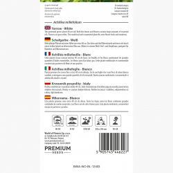 Krwawnik pospolity - czysta biel, wysoka zawartość olejków eterycznych