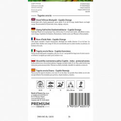 Aksamitka wzniesiona niska pełna Cupido - pomarańczowa