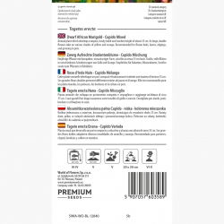 Aksamitka wzniesiona niska pełna Cupido - mieszanka kolorów