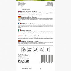 Aksamitka rozpierzchła Panther - mahoniowo-czerwona ze złotym obrzeżem