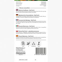 Titonia Red Torch - szkarłatnoczerwona