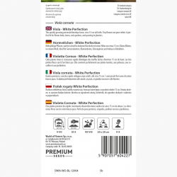 Fiołek rogaty White Perfection