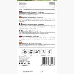 Cynia wytworna Sombrero