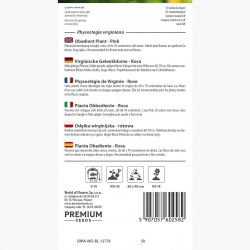 Odętka wirginijska - różowa