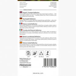 Bieluń surmikwiat Ballerina