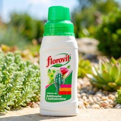 Nawóz do kaktusów i sukulentów - Florovit - 250 ml