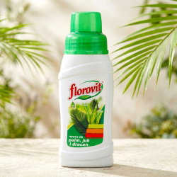 Nawóz do juk, palm i dracen - Florovit - 250 ml