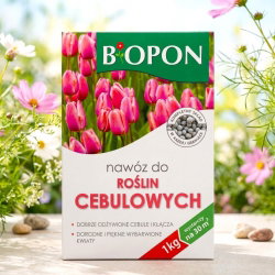 Nawóz do roślin cebulowych - pięknie wybarwione kwiaty i zdrowe cebule - Biopon - 1 kg