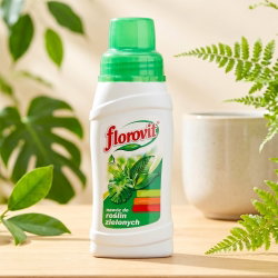 Nawóz do roślin zielonych ozdobnych z liści - Florovit - 250 ml