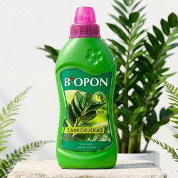 Nawóz do zasilania zamiokulkasów (zamioculcasów) - Biopon - 500 ml