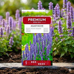 Agastache, Kłosowiec - 210 nasion