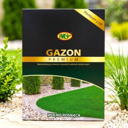 Mieszanka traw - Gazon Premium - 1 kg