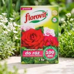 Długo działający nawóz 100 dni do róż i innych roślin kwitnących - Florovit - 1 kg