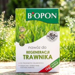 Nawóz do szybkiej regeneracji trawnika - Biopon - 1 kg