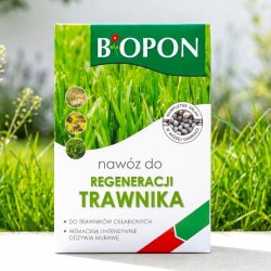 Nawóz do szybkiej regeneracji trawnika - Biopon - 3 kg