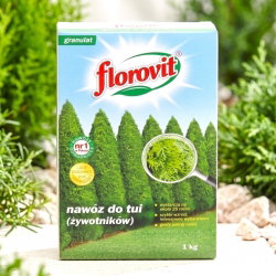 Nawóz do tui (żywotników) - intensywne wybarwienie igieł i szybki wzrost - Florovit - 1 kg