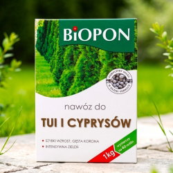 Nawóz do tui i cyprysów - zapewnia szybki wzrost, gęstą koronę i intensywne wybarwienie - Biopon - 1 kg