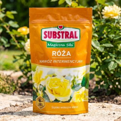 Nawóz do róż