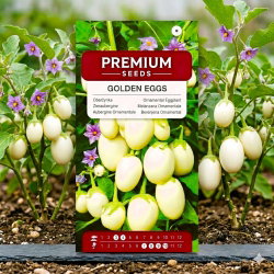 Oberżynka Golden Eggs - 25 nasion