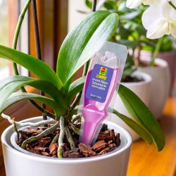 Odżywka orchid power - do storczyków - Compo - 50 x 30 ml