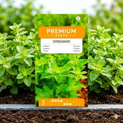 Oregano - Lebiodka pospolita
