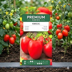 Pomidor Kmicic - 250 nasion