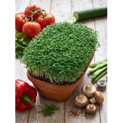 BIO Rzeżucha - Certyfikowane nasiona ekologiczne - 2250 nasion