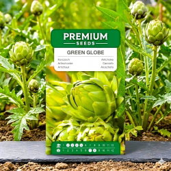Karczoch Green Globe - 23 nasion
