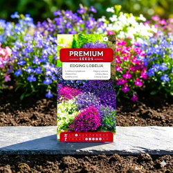 Lobelia przylądkowa - mieszanka kolorów - 6400 nasion