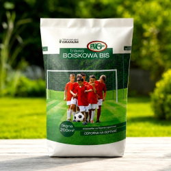 Mieszanka traw - Boiskowa BIS - 15 kg - na 600 m²