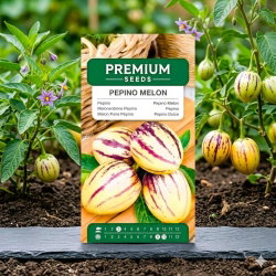 Pepino, miechunka melonowa - 10 nasion