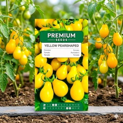 Pomidor wysoki żółty Yellow Pearshaped - 120 nasion