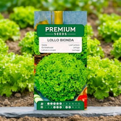 Sałata liściowa karbowana - Lollo Bionda - 1200 nasion