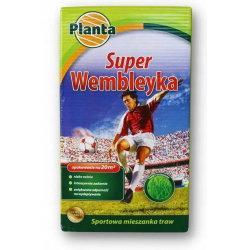 Super Wembleyka - trawa gazonowa odporna na wydeptywanie - Planta - 0,5 kg